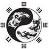 IAI_New-Logo_v06